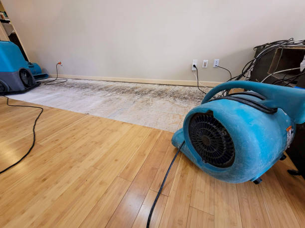 Professional Structural Drying technician working in Owings, MD